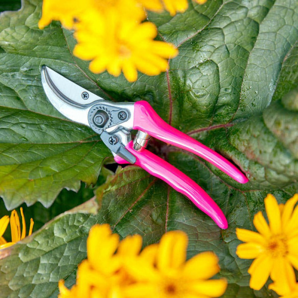 Buy FloraBrite™ Bypass Secateurs Pink Online - Green plants & flowering plants