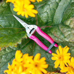 Florabrite Bypass Harvesting Snip Pink