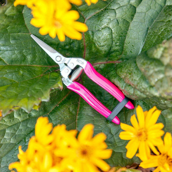 Buy FloraBrite™ Bypass Harvesting Snip Pink Online - Green plants & flowering plants