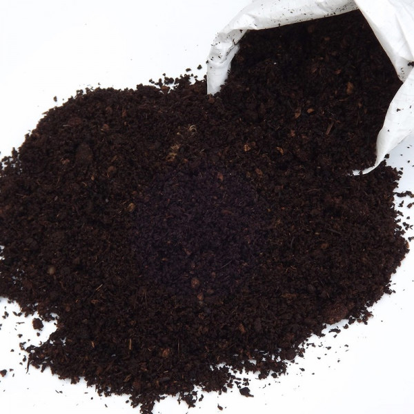 Buy Worm Worked Compost Online - Green plants & flowering plants