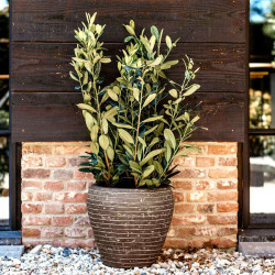 Deluxe Tapered Round Vase Row Olive Green