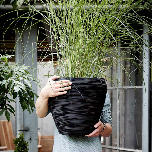 Buy Deluxe Tapered Round Vase Rib Black Online - Green plants & flowering plants