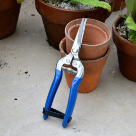 Rhs British Meadow Flower and Fruit Snip