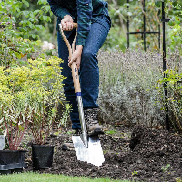 Buy Long Handled Stainless Steel Treaded Digging Spade Online - Green plants & flowering plants
