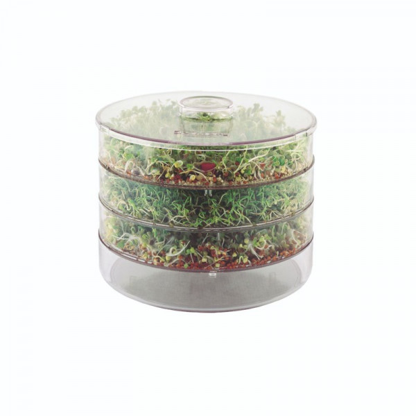 Buy 3 Tier Sprouter Online - Green plants & flowering plants