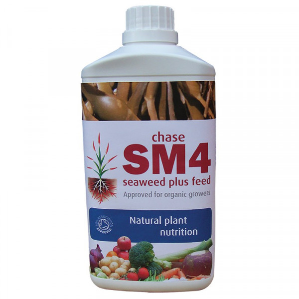 Buy Chase SM4 Seaweed Plus Feed 1 Litre Online - Green plants & flowering plants