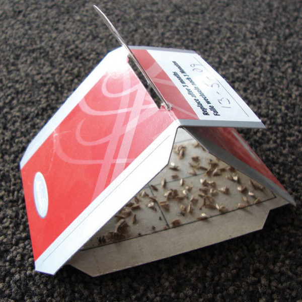 Buy Clothes Moth Trap Online - Green plants & flowering plants