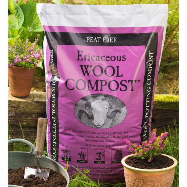 Buy Ericaceous Wool Compost Online - Green plants & flowering plants