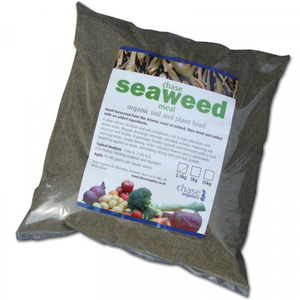 Buy Seaweed Meal Online - Green plants & flowering plants Buy Seaweed Meal Online - Green plants & flowering plants