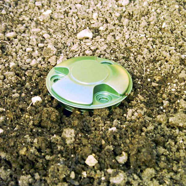 Buy Slug & Snail Traps Online - Green plants & flowering plants