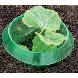 Slug Collars Pack of 16