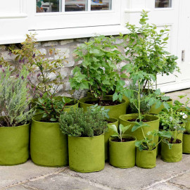 Vigoroot Planters 5 Litre