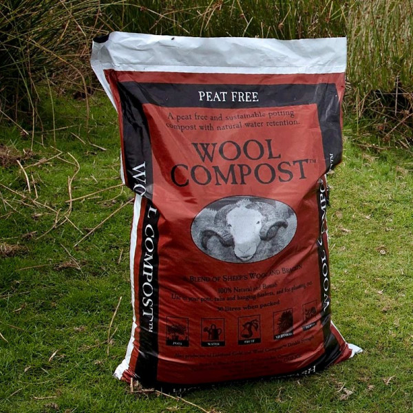 Buy Wool Compost Online - Green plants & flowering plants