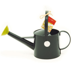 Budding Gardener 1 Litre Watering Can