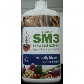 Chase Seaweed 3 Steps to Success Offer