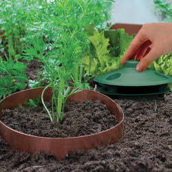 Copper Slug and Snail Band