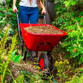 Wheelbarrow