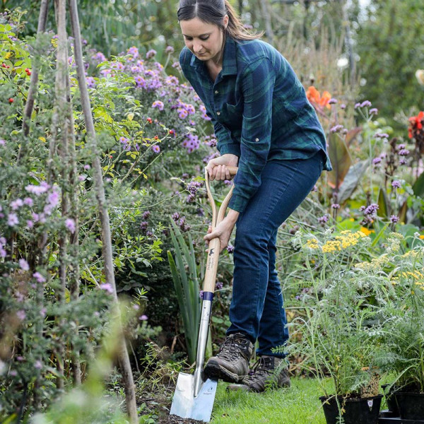 Buy Stainless Steel Treaded Border Spade Online - Green plants & flowering plants Buy Stainless Steel Treaded Border Spade Online - Green plants & flowering plants