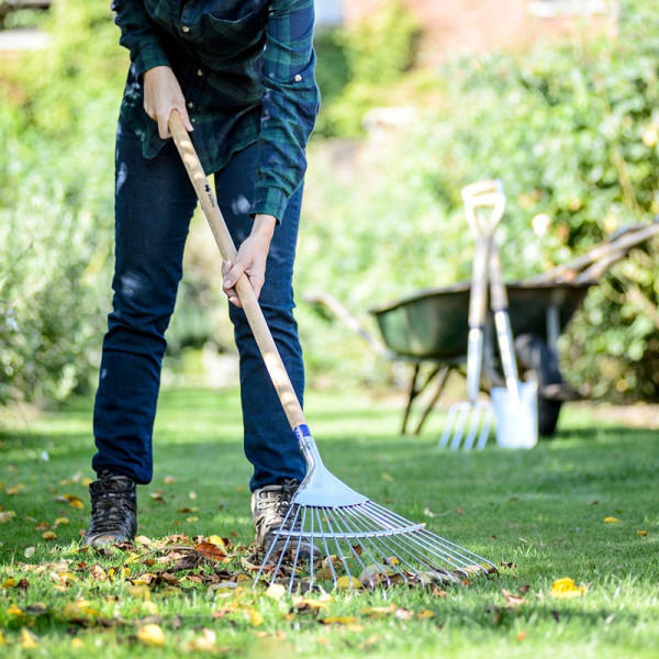 Buy Stainless Steel Leaf Rake Online - Green plants & flowering plants Buy Stainless Steel Leaf Rake Online - Green plants & flowering plants