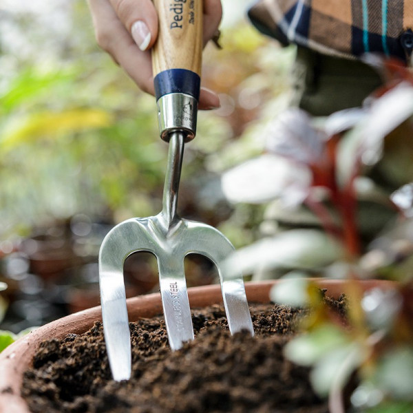 Buy Stainless Steel Hand Fork Online - Green plants & flowering plants Buy Stainless Steel Hand Fork Online - Green plants & flowering plants