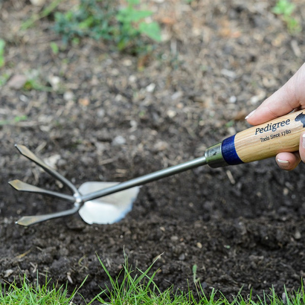 Buy Stainless Steel Cultivator Hoe Online - Green plants & flowering plants Buy Stainless Steel Cultivator Hoe Online - Green plants & flowering plants
