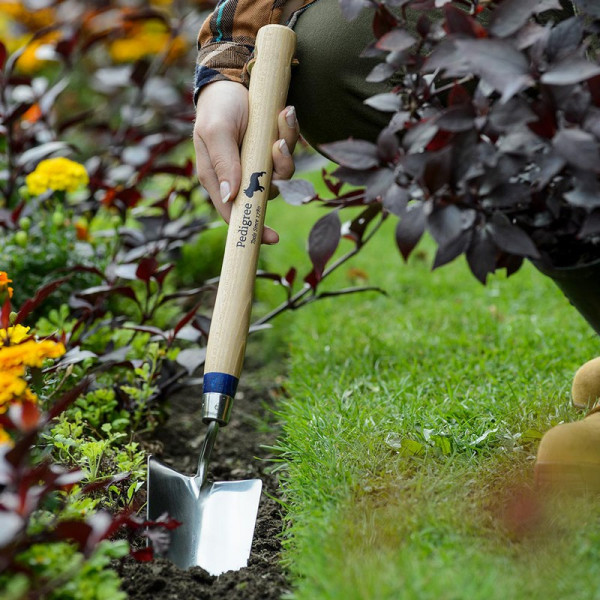 Buy Long Handle Stainless Steel Hand Trowel Online - Green plants & flowering plants