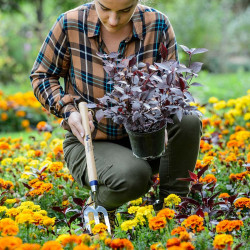 Long Handle Stainless Steel Fork