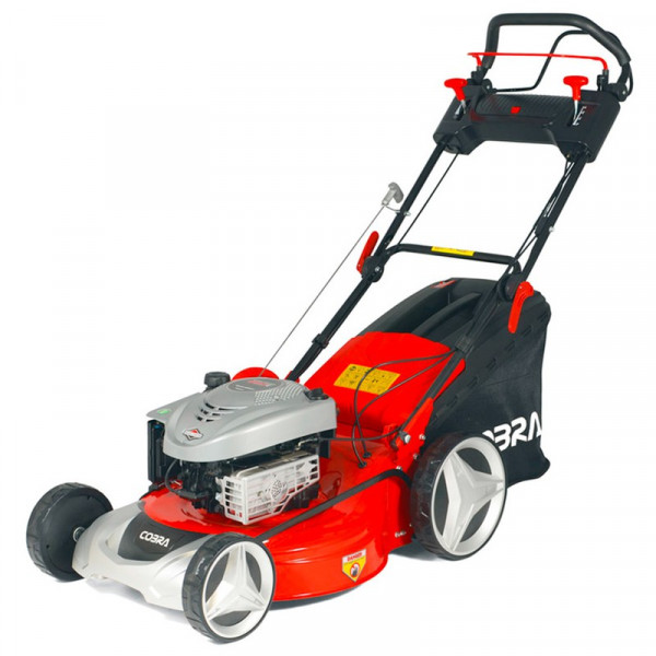 Buy Cobra 18 Electric Powered Lawnmower + Mulching Online - Green plants & flowering plants