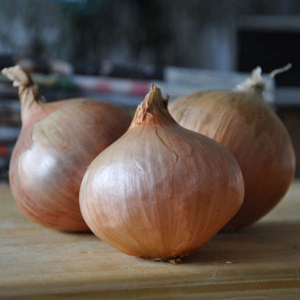 Buy Onion Sets Pink Panther Online - Green plants & flowering plants Buy Onion Sets Pink Panther Online - Green plants & flowering plants