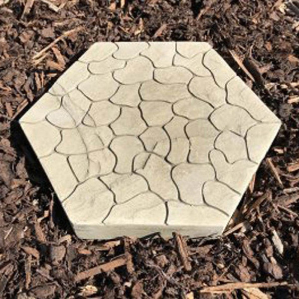 Buy Leaf Stepping Stone Insect Drinker Online - Green plants & flowering plants