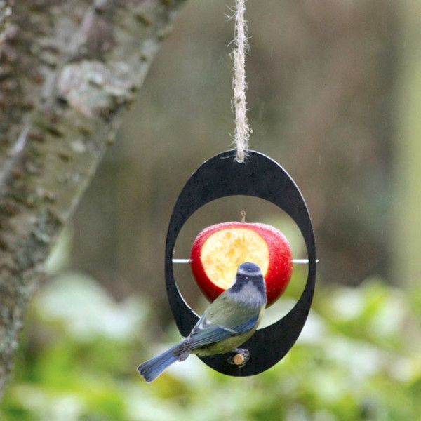 Buy Eco Apple Feeder Online - Green plants & flowering plants