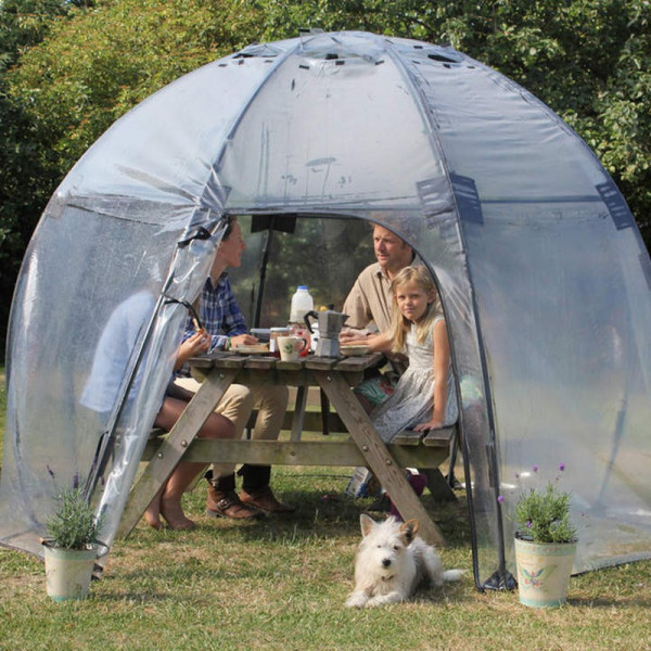 Buy Sunbubble Standard Online - Green plants & flowering plants Buy Sunbubble Standard Online - Green plants & flowering plants