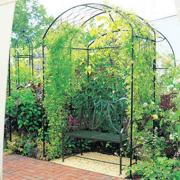 Buy Harrogate Bower 1.5m Online - Green plants & flowering plants
