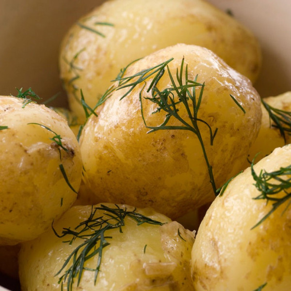 Buy Seed Potatoes Accord 1kg Online - Green plants & flowering plants