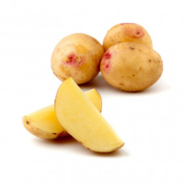 Seed Potatoes Carolus 1kg