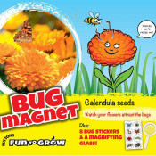 Plant Seeds