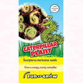 Scorpiurus Muricatus Seeds Caterpillar Plant (mix)