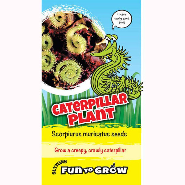 Buy Scorpiurus muricatus Seeds Caterpillar Plant (Mix) Online - Plant Seeds Buy Scorpiurus muricatus Seeds Caterpillar Plant (Mix) Online - Plant Seeds