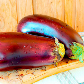 Aubergine Seeds F1 Galine