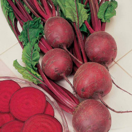 Beetroot Seeds F1 Pablo