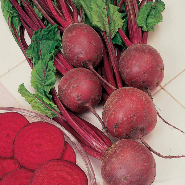 Buy Beetroot Seeds F1 Pablo Online - Plant Seeds