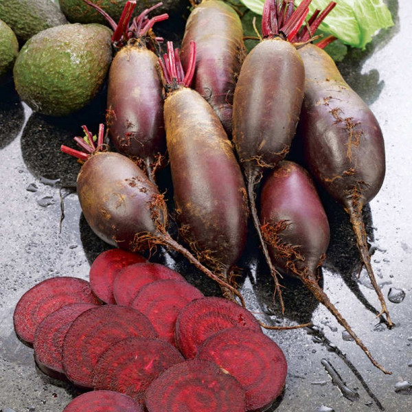 Buy Beetroot Seeds Cylindra Online - Plant Seeds
