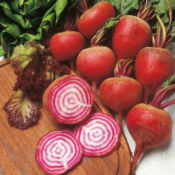Buy Beetroot Seeds Chioggia Online - Plant Seeds