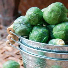 Brussels Sprout Seeds F1 Crispus