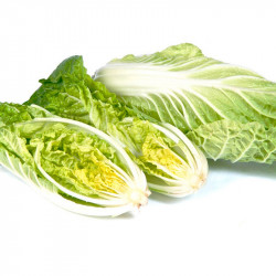 Chinese Cabbage Seeds F1 Natsuki