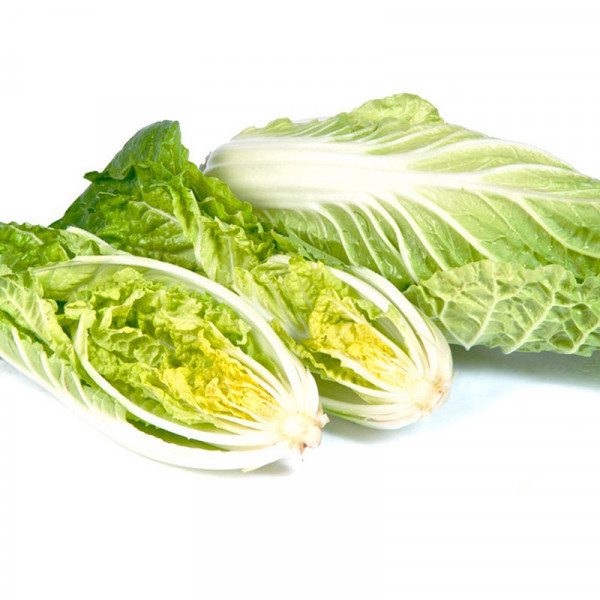 Buy Chinese Cabbage Seeds F1 Natsuki Online - Plant Seeds