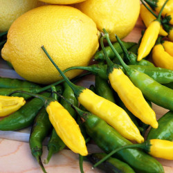 Pepper Chilli Seeds Peruvian Lemon Drop