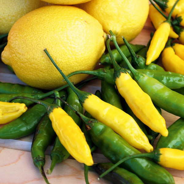 Buy Pepper Chilli Seeds Peruvian Lemon Drop Online - Plant Seeds