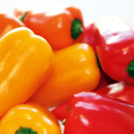 Pepper Sweet Seeds F1 Blockie Mix