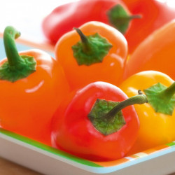 Pepper Seeds F1 Snackbite Mix
